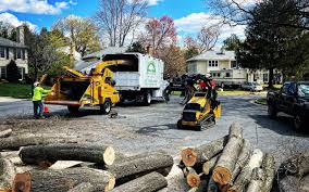  Gainesboro, TN Tree Care Services Pros